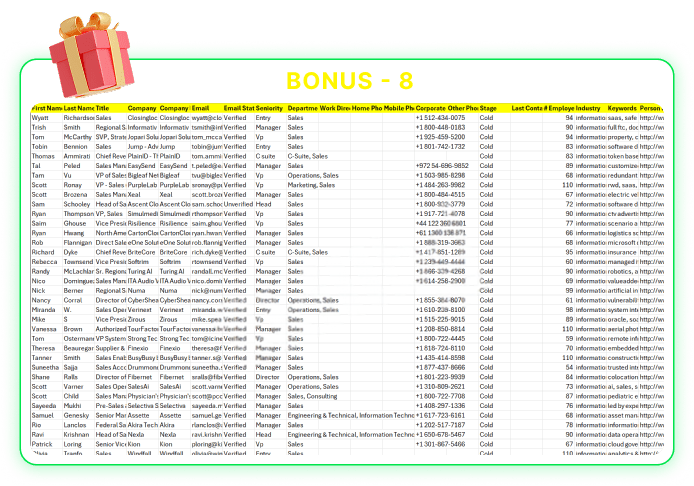 USA IT Company Leads